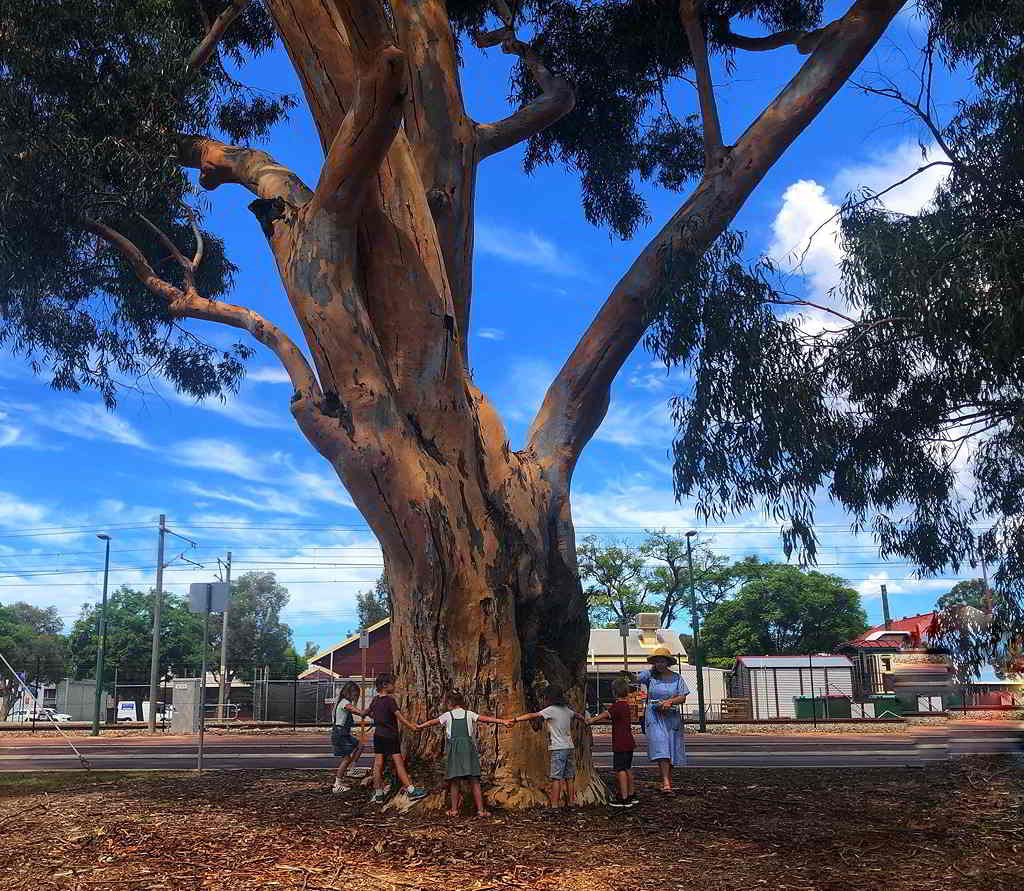 tree